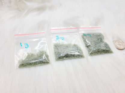 *BUNDLE DISCOUNT Moldavite Dust/Mini Shards baggie (1 gram)